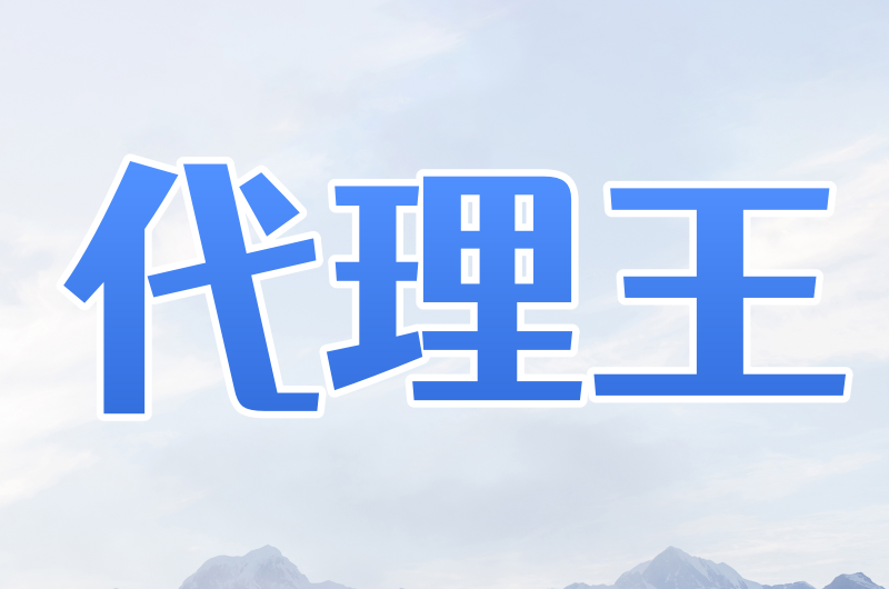 代理王静态独享ip 单窗口单ip 